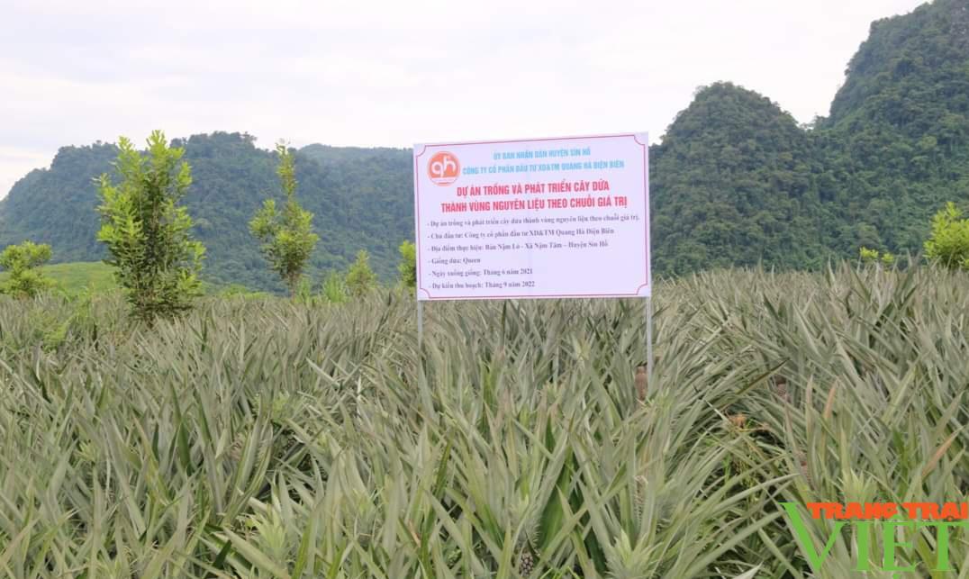 Lai Châu: Để nông nghiệp thu hút doanh nghiệp, nhà đầu tư - Ảnh 2. Lai Châu: Để nông nghiệp thu hút doanh nghiệp, nhà đầu tư - Ảnh 2.