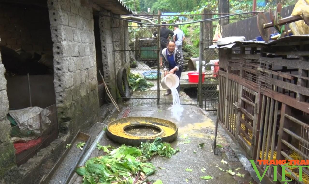 Lai Châu: Sìn Hồ chủ động phòng chống dịch bệnh gia súc, gia cầm - Ảnh 4. Lai Châu: Sìn Hồ chủ động phòng chống dịch bệnh gia súc, gia cầm - Ảnh 4.