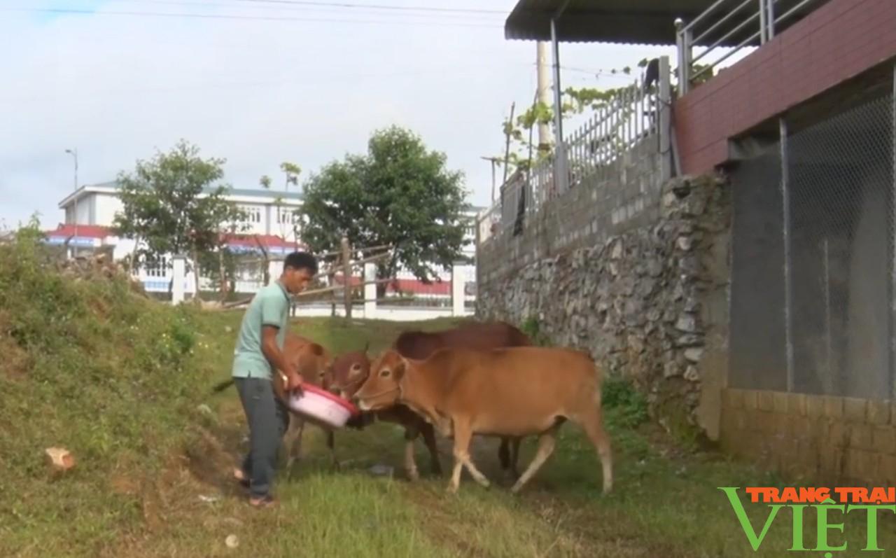 Lai Châu: Sìn Hồ chủ động phòng chống dịch bệnh gia súc, gia cầm - Ảnh 6. Lai Châu: Sìn Hồ chủ động phòng chống dịch bệnh gia súc, gia cầm - Ảnh 6.