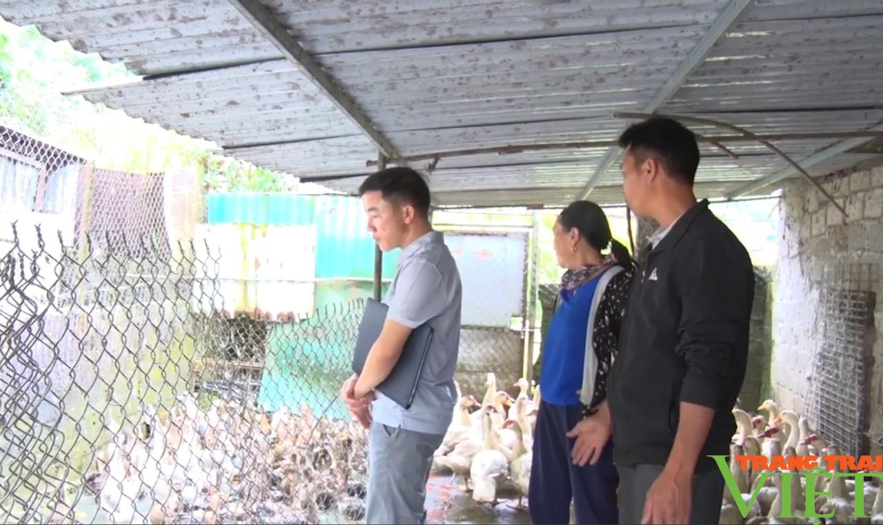 Lai Châu: Sìn Hồ chủ động phòng chống dịch bệnh gia súc, gia cầm - Ảnh 7. Lai Châu: Sìn Hồ chủ động phòng chống dịch bệnh gia súc, gia cầm - Ảnh 7.