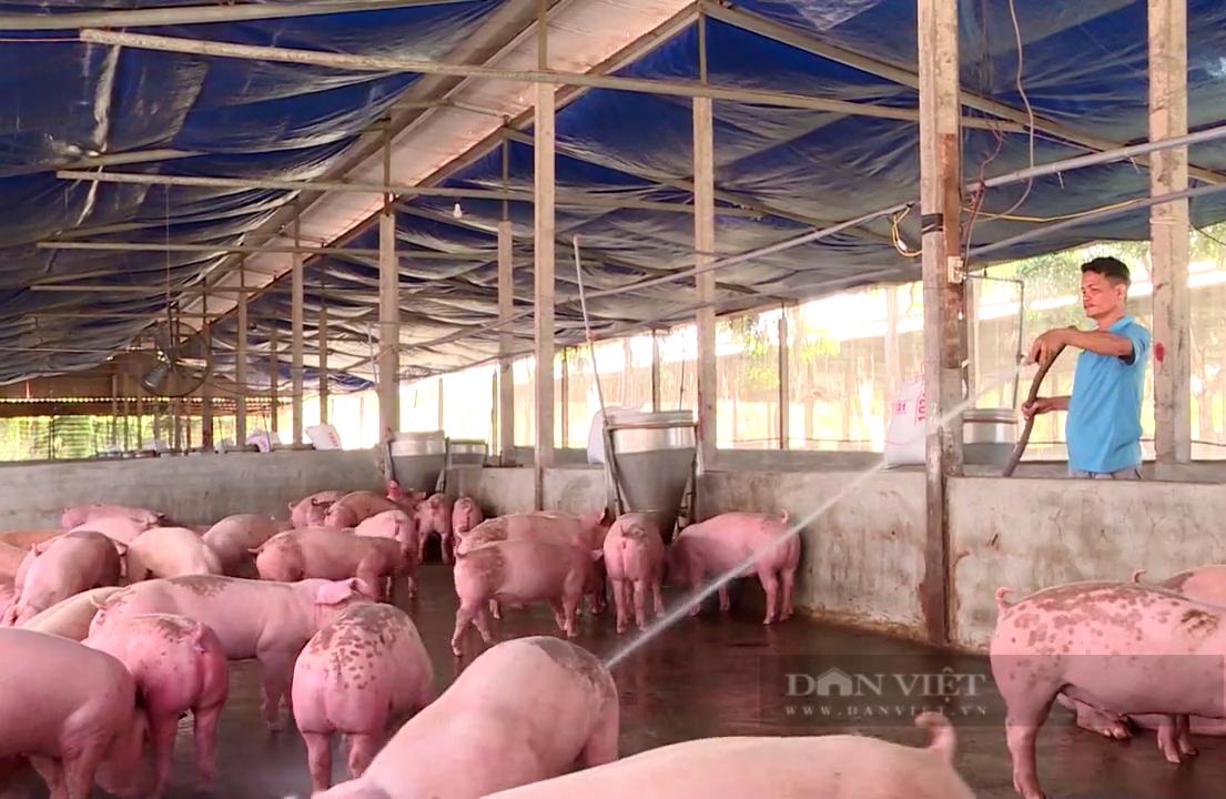 Thực thi phúc lợi động vật để vật nuôi hạnh phúc cho ra sản phẩm tốt nhất - Ảnh 3. Thực thi phúc lợi động vật để vật nuôi hạnh phúc cho ra sản phẩm tốt nhất - Ảnh 3.