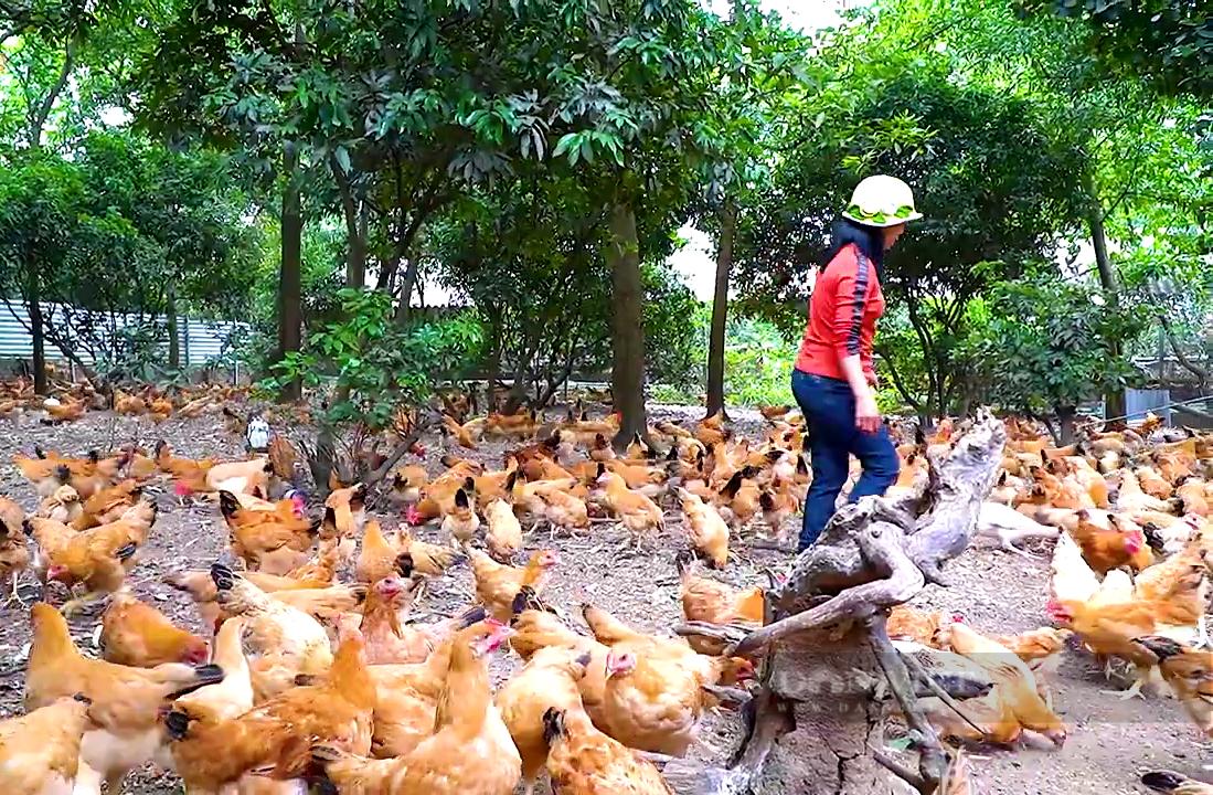 Thực thi phúc lợi động vật để vật nuôi hạnh phúc cho ra sản phẩm tốt nhất - Ảnh 4. Thực thi phúc lợi động vật để vật nuôi hạnh phúc cho ra sản phẩm tốt nhất - Ảnh 4.