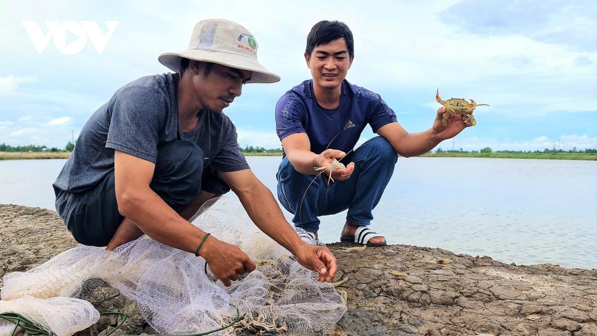 Học nghề nuôi tôm cua, nông dân Cà Mau tăng thu nhập gấp đôi so với cách nuôi truyền thống - Ảnh 1. Học nghề nuôi tôm cua, nông dân Cà Mau tăng thu nhập gấp đôi so với cách nuôi truyền thống - Ảnh 1.
