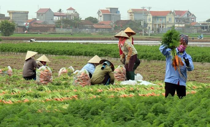 Bắc Ninh ra Nghị quyết hỗ trợ phát triển nông nghiệp, mức cao nhất lên tới 2,5 tỷ đồng - Ảnh 1. Bắc Ninh ra Nghị quyết hỗ trợ phát triển nông nghiệp, mức cao nhất lên tới 2,5 tỷ đồng - Ảnh 1.