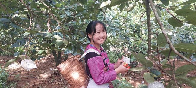 Hồng giòn vừa ngon, vừa ngọt ăn một lần là mê - Ảnh 1. Hồng giòn vừa ngon, vừa ngọt ăn một lần là mê - Ảnh 1.