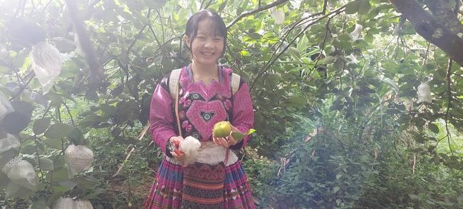 Hồng giòn vừa ngon, vừa ngọt ăn một lần là mê - Ảnh 5. Hồng giòn vừa ngon, vừa ngọt ăn một lần là mê - Ảnh 5.