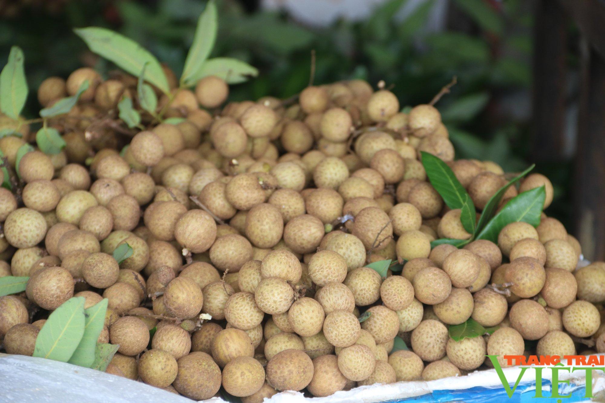Nhãn Hương Chi Hòa Bình bay sang Châu Âu - Ảnh 6. Nhãn Hương Chi Hòa Bình bay sang Châu Âu - Ảnh 6.