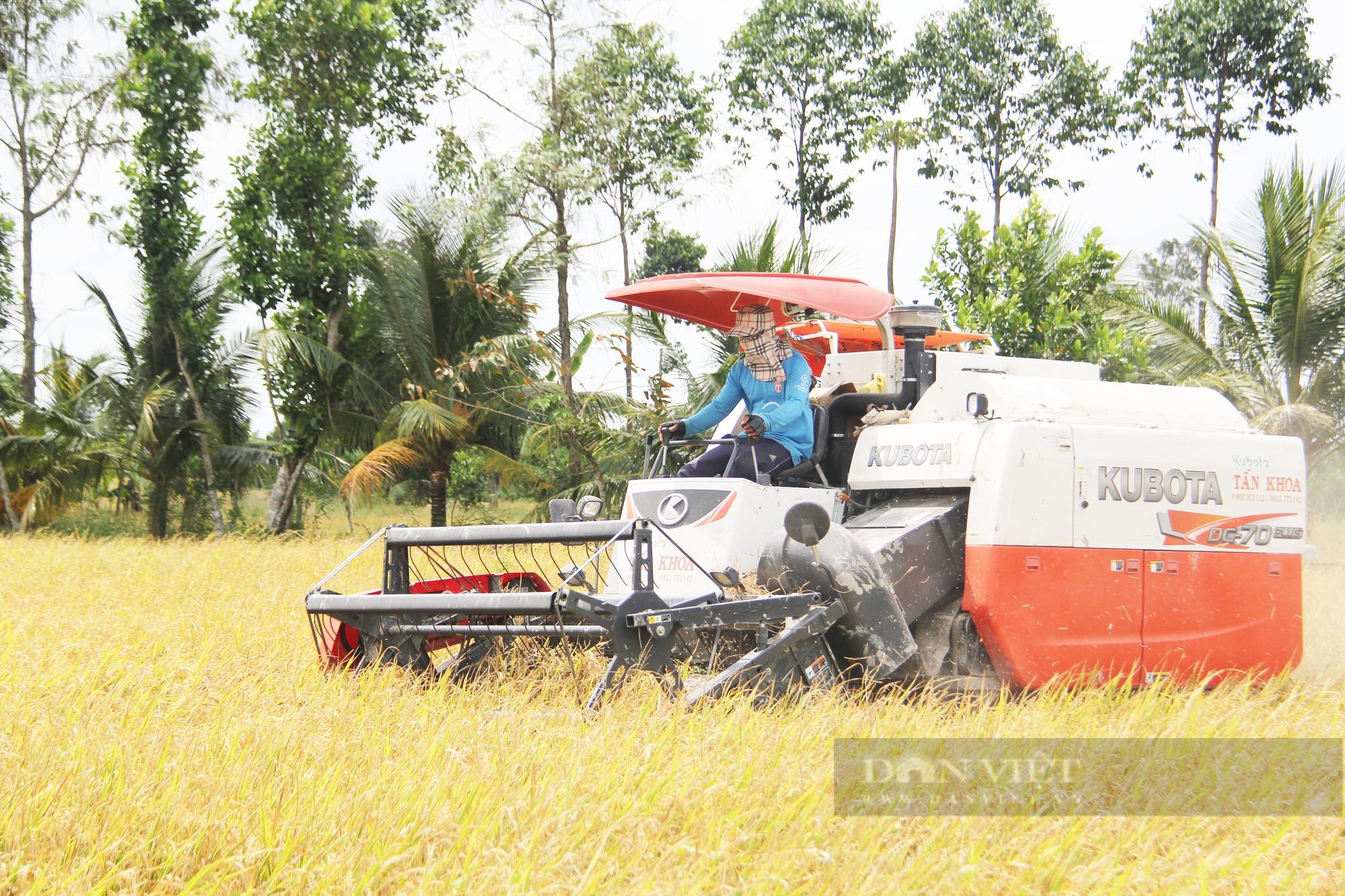 Giữ hay giảm diện tích đất lúa ĐBSCL (Bài 6): Giữ đất lúa mà nông dân vẫn nghèo thì có nên không? - Ảnh 2. Giữ hay giảm diện tích đất lúa ĐBSCL (Bài 6): Giữ đất lúa mà nông dân vẫn nghèo thì có nên không? - Ảnh 2.