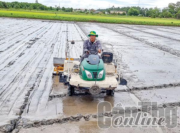 Cơ giới hóa để nâng cao hiệu quả gieo trồng lúa