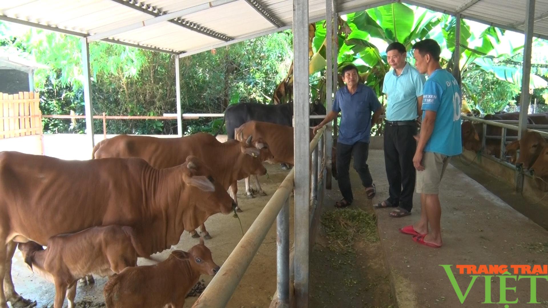 Yên Châu: Đẩy mạnh chăn nuôi giúp nông dân vươn lên làm giàu - Ảnh 7. Yên Châu: Đẩy mạnh chăn nuôi giúp nông dân vươn lên làm giàu - Ảnh 7.