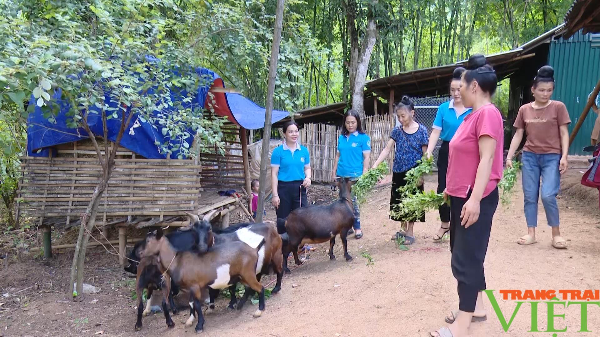 Yên Châu: Đẩy mạnh chăn nuôi giúp nông dân vươn lên làm giàu - Ảnh 6. Yên Châu: Đẩy mạnh chăn nuôi giúp nông dân vươn lên làm giàu - Ảnh 6.