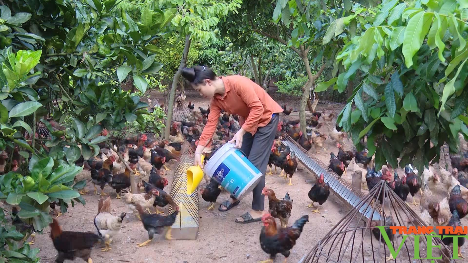 Yên Châu: Đẩy mạnh chăn nuôi giúp nông dân vươn lên làm giàu - Ảnh 4. Yên Châu: Đẩy mạnh chăn nuôi giúp nông dân vươn lên làm giàu - Ảnh 4.