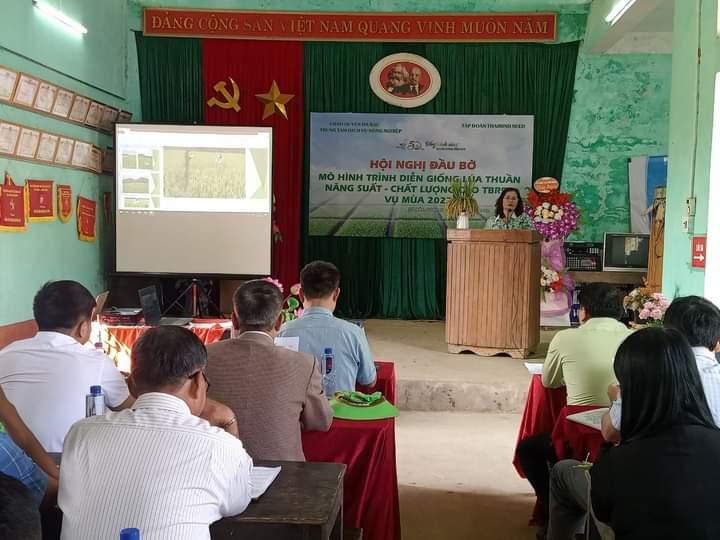 Triển vọng giống lúa mới TBR 97 tại huyện vùng cao Hòa Bình - Ảnh 1. Triển vọng giống lúa mới TBR 97 tại huyện vùng cao Hòa Bình - Ảnh 1.