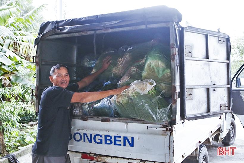Hà Tĩnh: Giá hành lá tăng 3 - 4 lần, nông dân “người vui, kẻ tiếc” - Ảnh 6. Hà Tĩnh: Giá hành lá tăng 3 - 4 lần, nông dân “người vui, kẻ tiếc” - Ảnh 6.