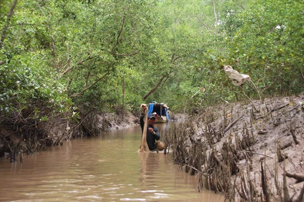 Chuyển đổi nuôi trồng thủy sản, thích ứng với biến đổi khí hậu ở Ngọc Hiển, Cà Mau - Ảnh 1. Chuyển đổi nuôi trồng thủy sản, thích ứng với biến đổi khí hậu ở Ngọc Hiển, Cà Mau - Ảnh 1.