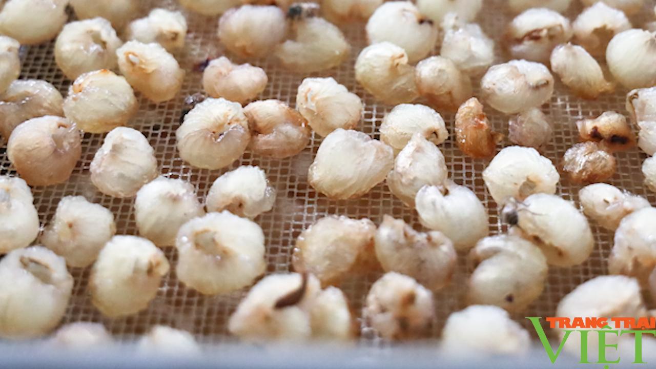 Nông dân phát triển nông nghiệp công nghệ cao - Ảnh 4. Nông dân phát triển nông nghiệp công nghệ cao - Ảnh 4.
