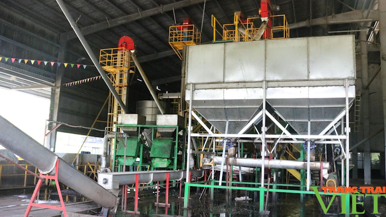 Nông dân phát triển nông nghiệp công nghệ cao - Ảnh 13. Nông dân phát triển nông nghiệp công nghệ cao - Ảnh 13.