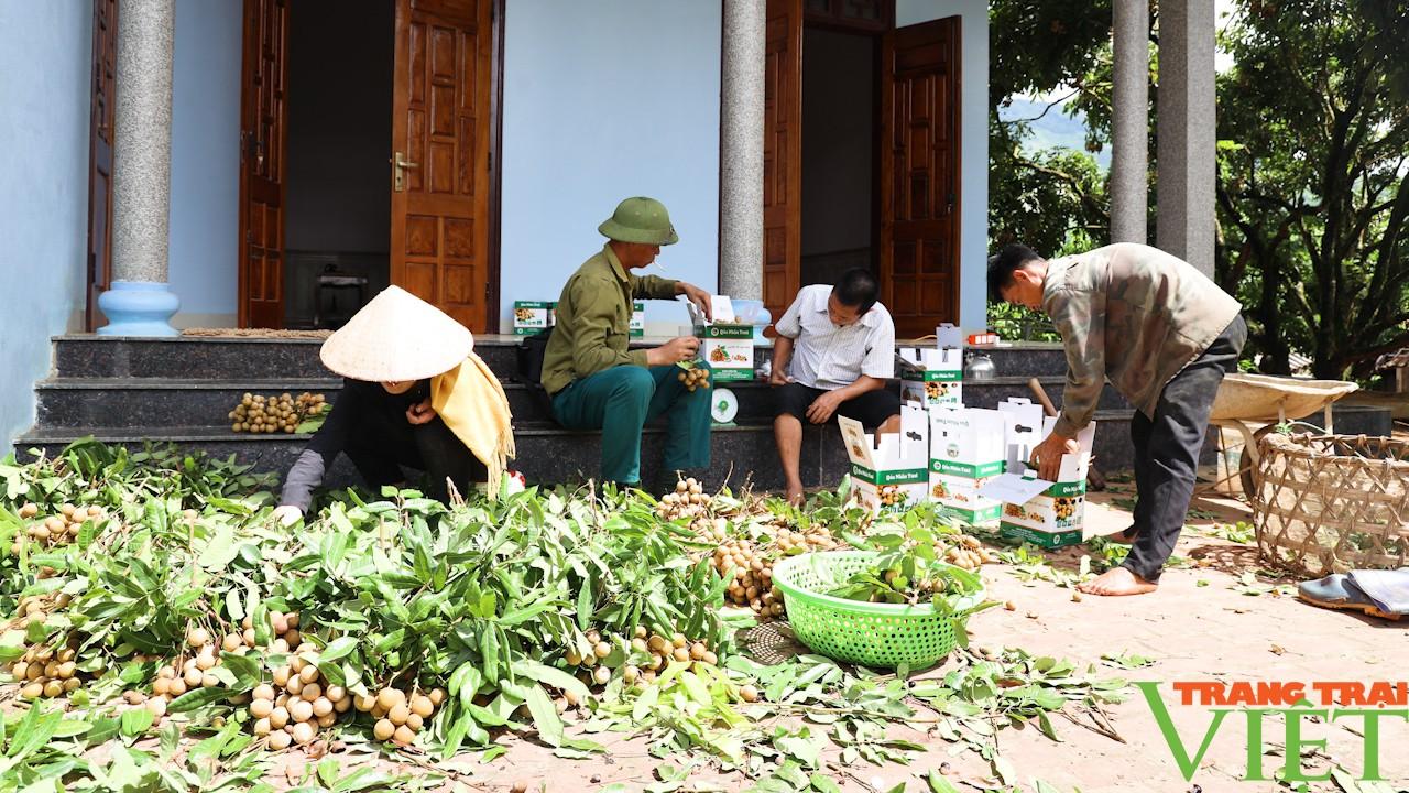 Nông dân phát triển nông nghiệp công nghệ cao - Ảnh 5. Nông dân phát triển nông nghiệp công nghệ cao - Ảnh 5.