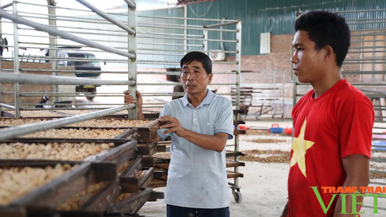 Nông dân phát triển nông nghiệp công nghệ cao - Ảnh 3. Nông dân phát triển nông nghiệp công nghệ cao - Ảnh 3.