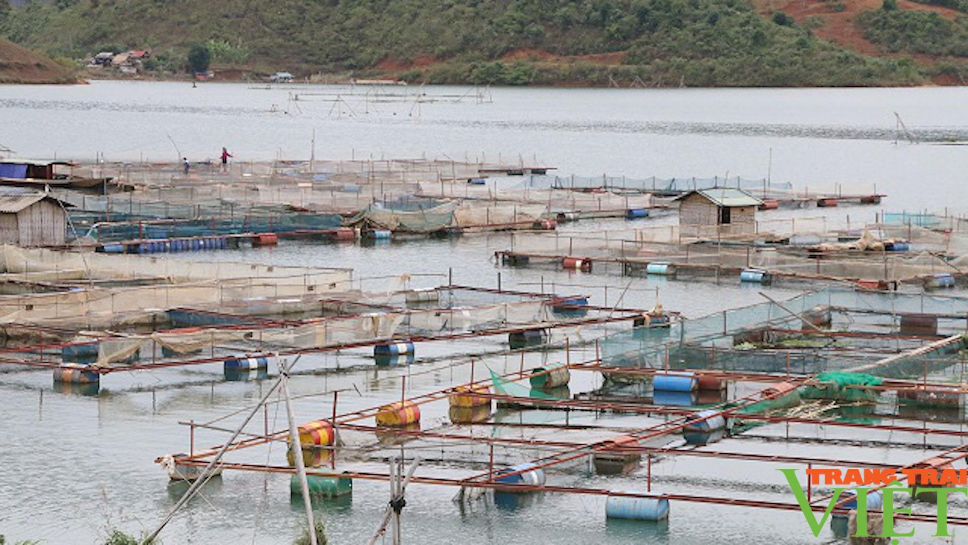 Nông dân phát triển nông nghiệp công nghệ cao - Ảnh 6. Nông dân phát triển nông nghiệp công nghệ cao - Ảnh 6.