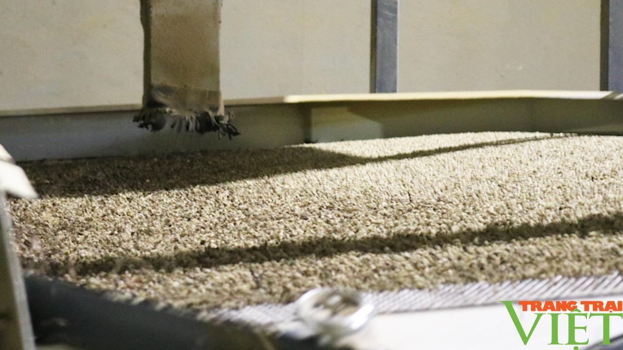 Nông dân phát triển nông nghiệp công nghệ cao - Ảnh 14. Nông dân phát triển nông nghiệp công nghệ cao - Ảnh 14.