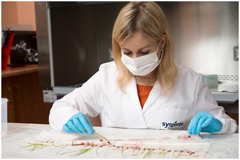 Syngenta được trao tặng 5 giải thưởng về khoa học cây trồng - Ảnh 2. Syngenta được trao tặng 5 giải thưởng về khoa học cây trồng - Ảnh 2.