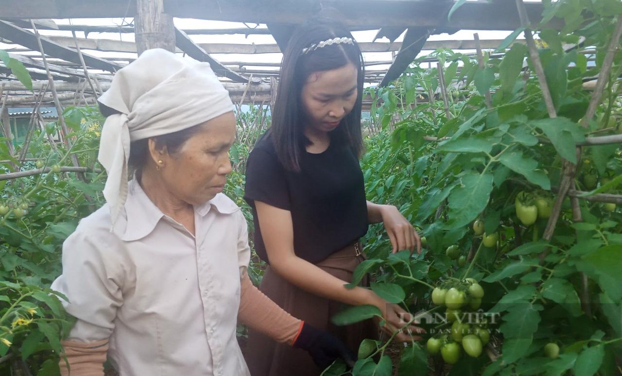 Nông dân Phù Yên (Sơn La) "bám đất, bám rộng" làm giàu - Ảnh 7.
