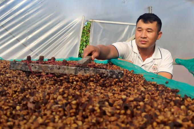 Tây Nguyên: Cà phê được giá, dân chưa kịp mừng đã vội lo - Ảnh 6. Tây Nguyên: Cà phê được giá, dân chưa kịp mừng đã vội lo - Ảnh 6.