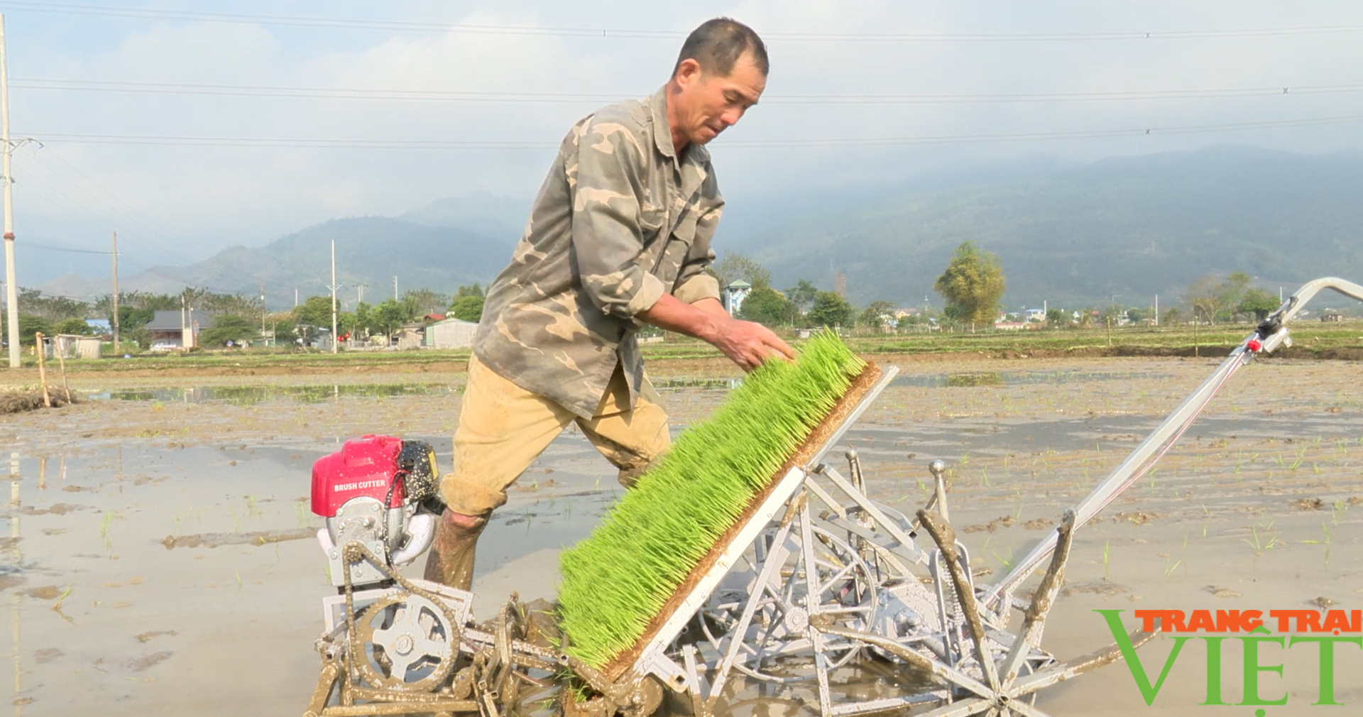 Phù Yên (Sơn La): Nông dân đưa máy cấy lúa vào thử nghiệm - Ảnh 2. Phù Yên (Sơn La): Nông dân đưa máy cấy lúa vào thử nghiệm - Ảnh 2.