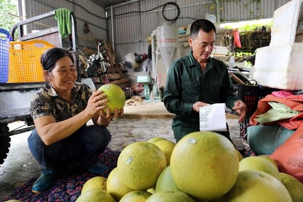 Tuyên Quang ứng dụng công nghệ nhằm nâng cao giá trị gia tăng hình ảnh 1 Tuyen Quang ung dung cong nghe nham nang cao gia tri gia tang hinh anh 1