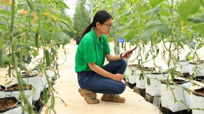 Số hóa truy xuất nguồn gốc nông sản - Ảnh 1. Số hóa truy xuất nguồn gốc nông sản - Ảnh 1.