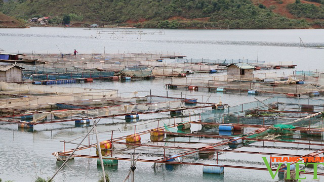 Tạo bước đột phá để nông nghiệp Sơn La phát triển bền vững - Ảnh 7. Tạo bước đột phá để nông nghiệp Sơn La phát triển bền vững - Ảnh 7.