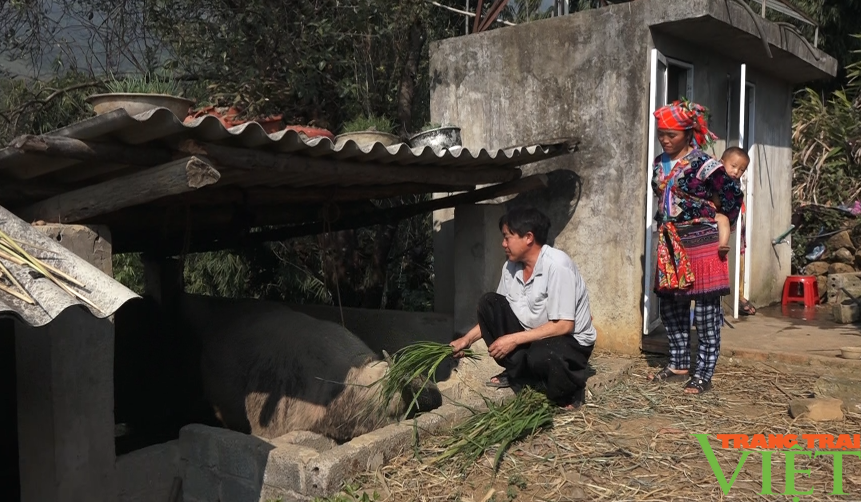 Về Giang Ma xem bà con phòng chống dịch bệnh cho đàn gia súc - Ảnh 4. Về Giang Ma xem bà con phòng chống dịch bệnh cho đàn gia súc - Ảnh 4.
