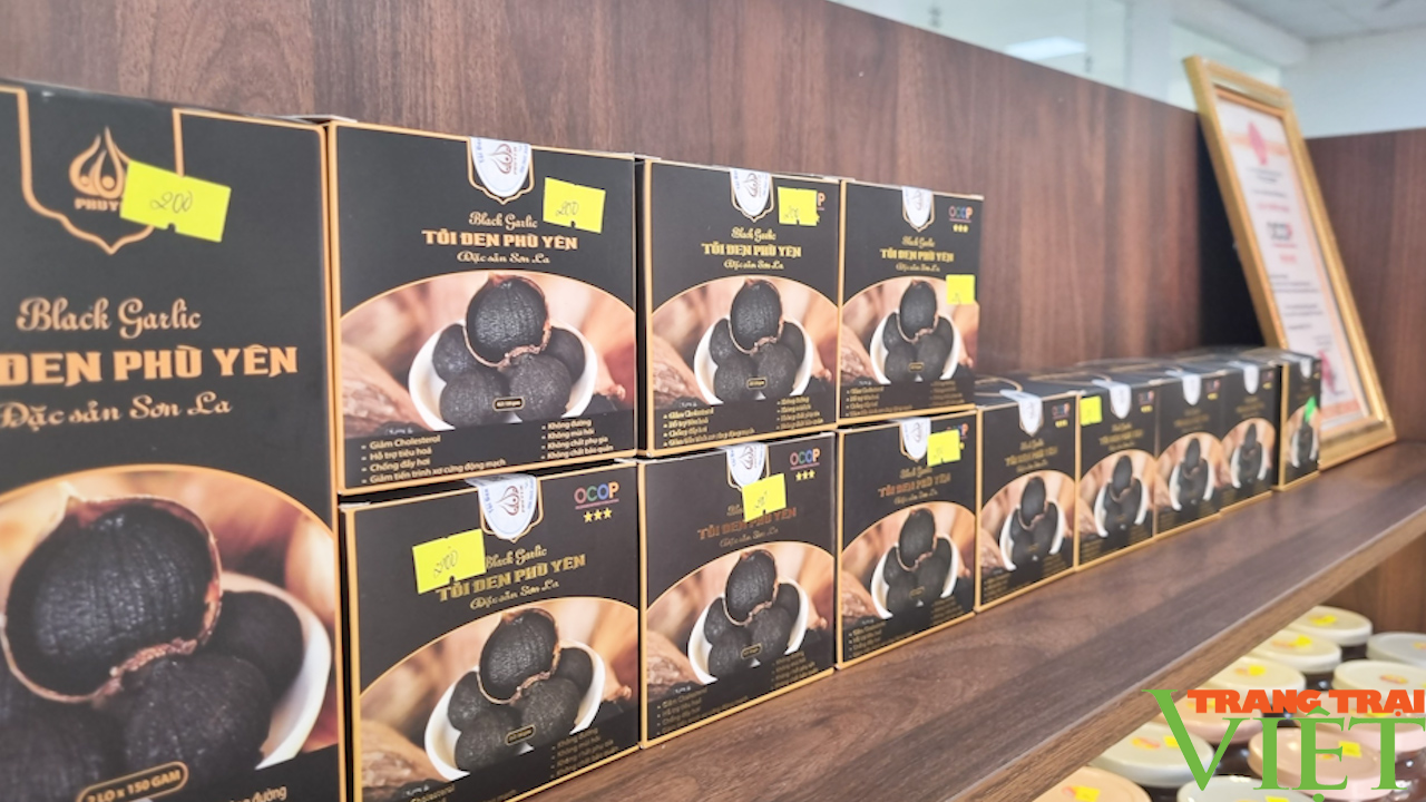 Tập trung thực hiện Chương trình "mỗi xã một sản phẩm" OCOP - Ảnh 6. Tập trung thực hiện Chương trình "mỗi xã một sản phẩm" OCOP - Ảnh 6.