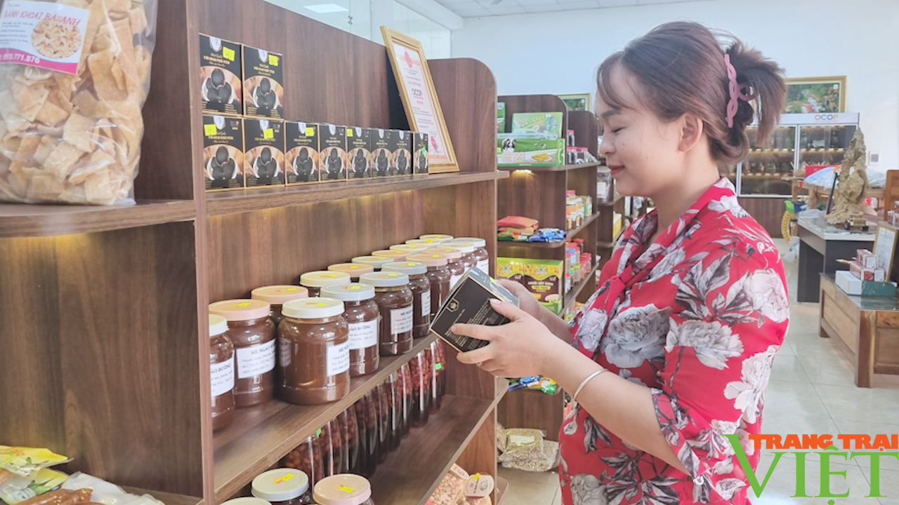Tập trung thực hiện Chương trình "mỗi xã một sản phẩm" OCOP - Ảnh 5. Tập trung thực hiện Chương trình "mỗi xã một sản phẩm" OCOP - Ảnh 5.