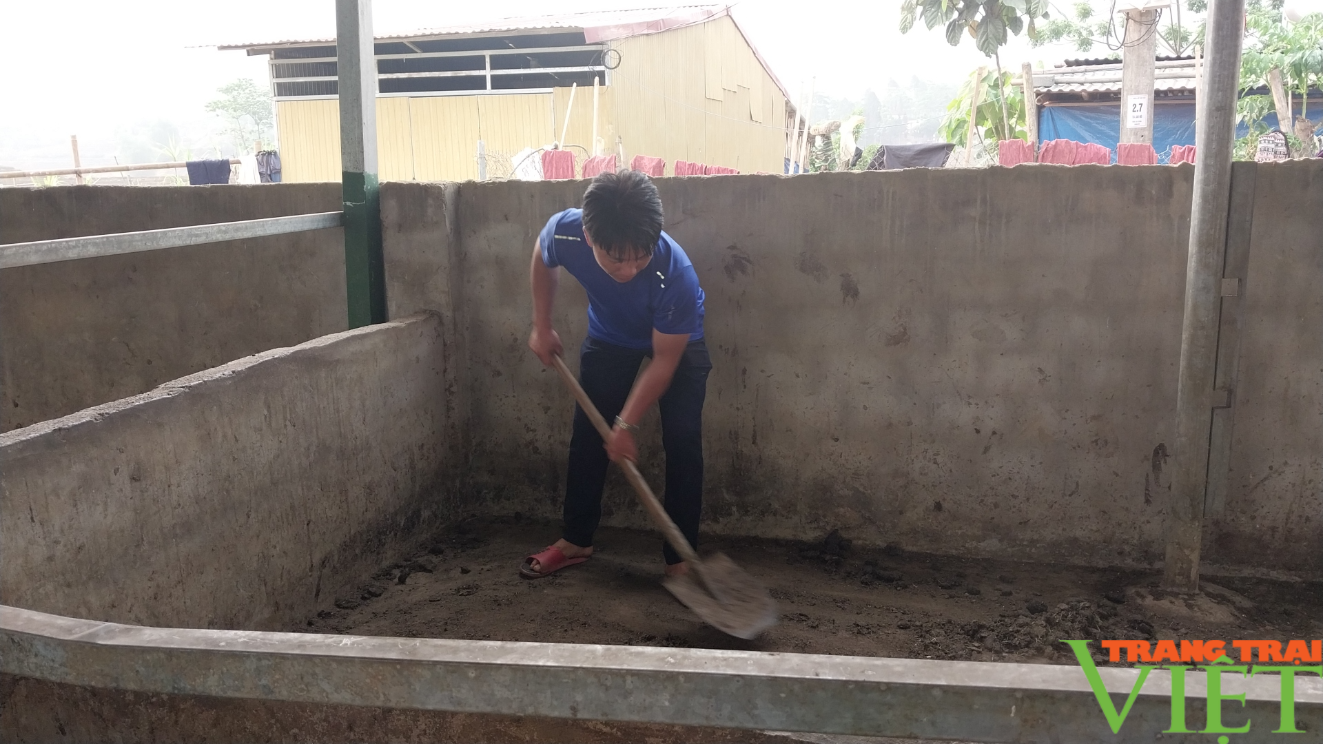 Anh nông dân ở vùng cao Lào Cai thoát nghèo nhờ nuôi ngựa - Ảnh 3. Anh nông dân ở vùng cao Lào Cai thoát nghèo nhờ nuôi ngựa - Ảnh 3.