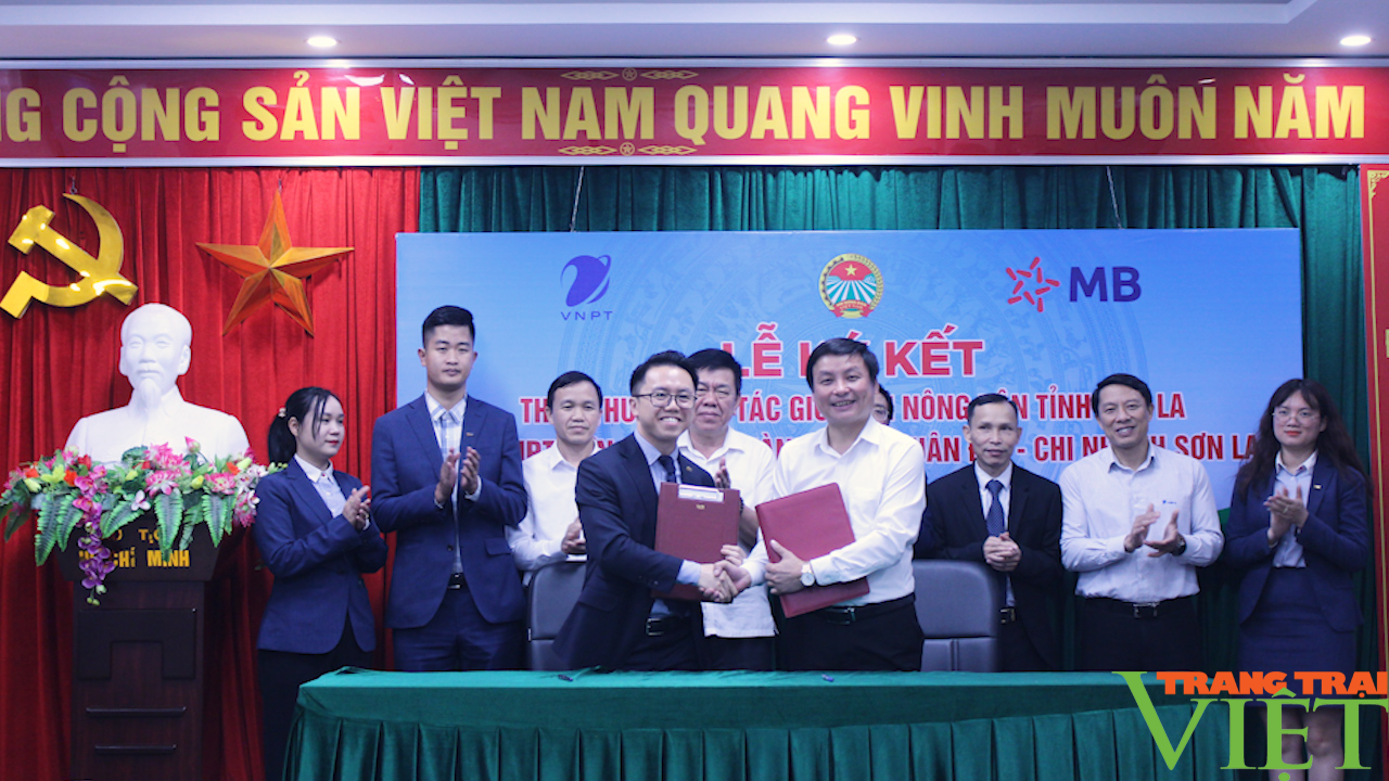 Hội Nông dân tỉnh Sơn La hợp tác với VNPT Sơn La, ngân Hàng TMCP Quân Đội - Ảnh 7. Hội Nông dân tỉnh Sơn La hợp tác với VNPT Sơn La, ngân Hàng TMCP Quân Đội - Ảnh 7.