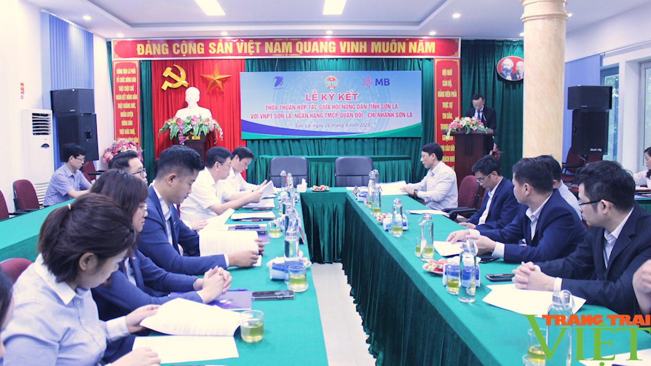 Hội Nông dân tỉnh Sơn La hợp tác với VNPT Sơn La, ngân Hàng TMCP Quân Đội - Ảnh 2. Hội Nông dân tỉnh Sơn La hợp tác với VNPT Sơn La, ngân Hàng TMCP Quân Đội - Ảnh 2.