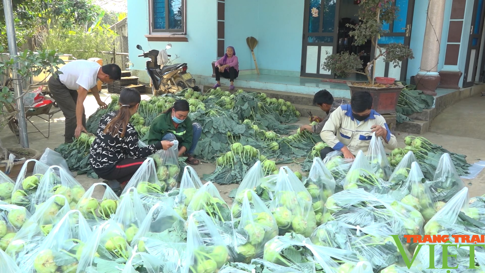 Về Pắc Ta ở Lai Châu xem bà con làm nông thôn mới nâng cao - Ảnh 6. Về Pắc Ta ở Lai Châu xem bà con làm nông thôn mới nâng cao - Ảnh 6.