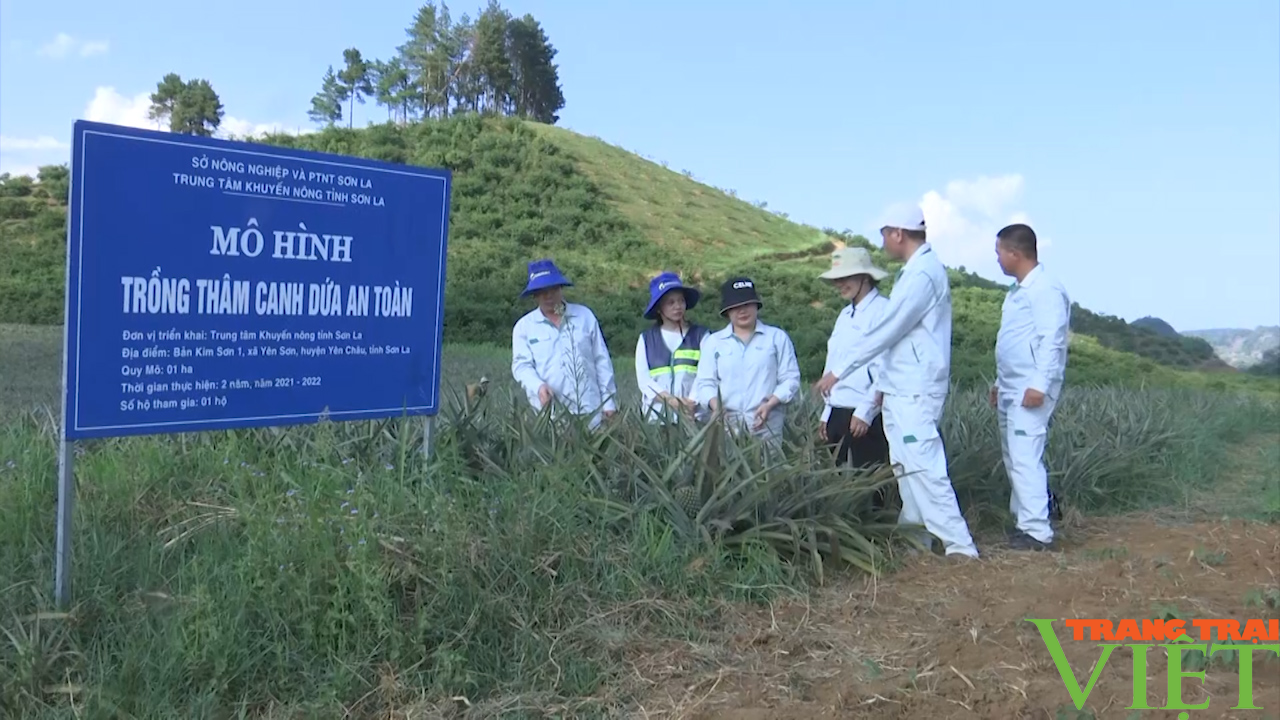 Tổ khuyến nông cộng đồng cầu nối nông dân và doanh nghiệp - Ảnh 2. Tổ khuyến nông cộng đồng cầu nối nông dân và doanh nghiệp - Ảnh 2.