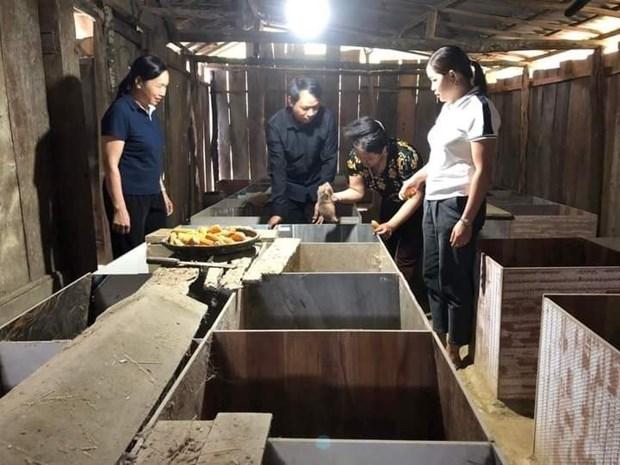 Ma Thị Thanh, người tiên phong với mô hình nuôi dúi thoát nghèo hình ảnh 1 Ma Thi Thanh, nguoi tien phong voi mo hinh nuoi dui thoat ngheo hinh anh 1