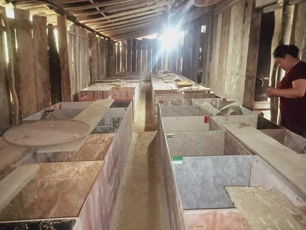 Ma Thị Thanh, người tiên phong với mô hình nuôi dúi thoát nghèo hình ảnh 2 Ma Thi Thanh, nguoi tien phong voi mo hinh nuoi dui thoat ngheo hinh anh 2