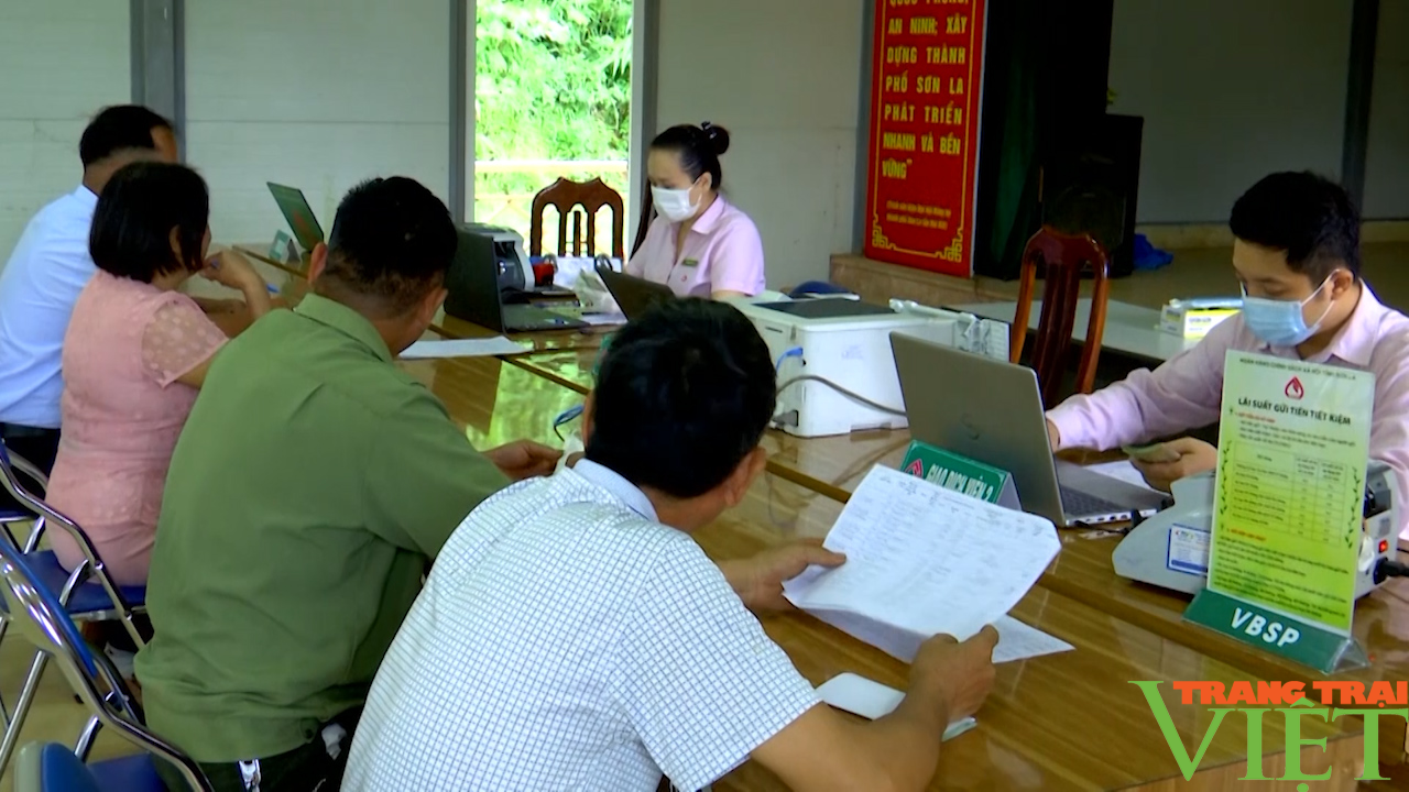 Hội Nông dân TP. Sơn La: Nhìn lại một nhiệm kỳ thắng lợi - Ảnh 6. Hội Nông dân TP. Sơn La: Nhìn lại một nhiệm kỳ thắng lợi - Ảnh 6.