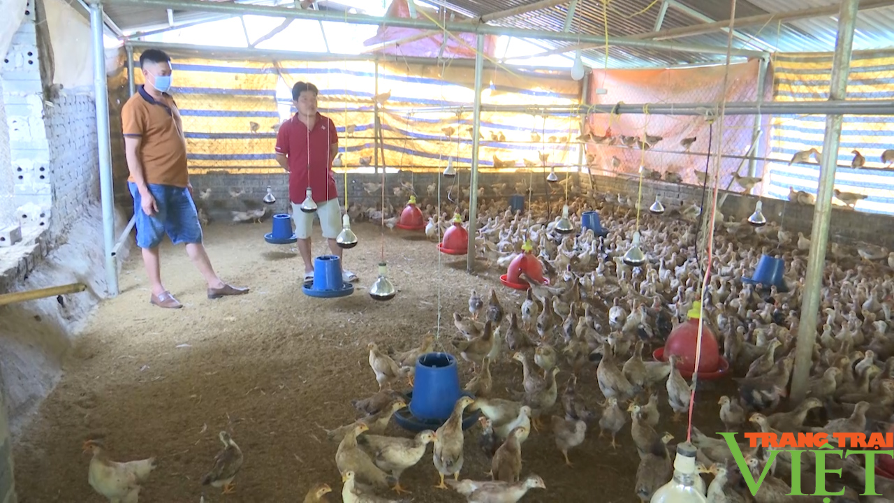 Hội Nông dân TP. Sơn La: Nhìn lại một nhiệm kỳ thắng lợi - Ảnh 7. Hội Nông dân TP. Sơn La: Nhìn lại một nhiệm kỳ thắng lợi - Ảnh 7.