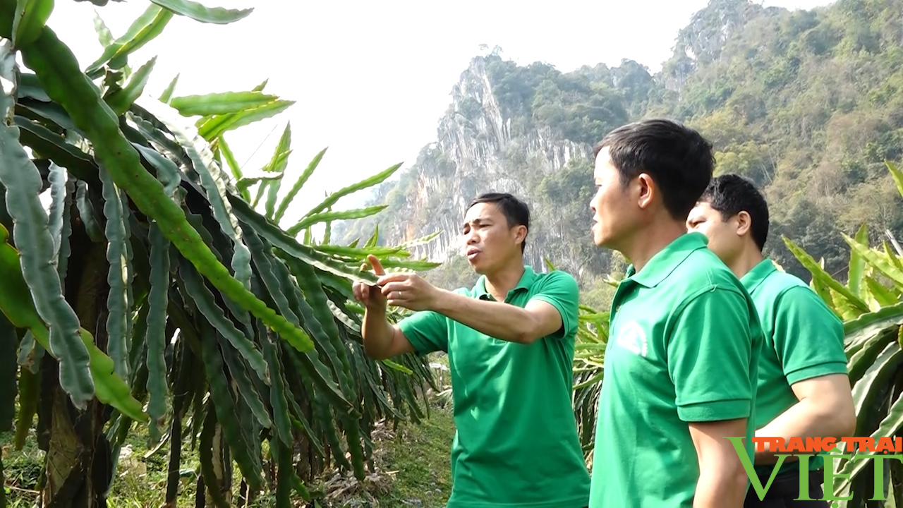 Hội Nông dân TP. Sơn La: Nhìn lại một nhiệm kỳ thắng lợi - Ảnh 2. Hội Nông dân TP. Sơn La: Nhìn lại một nhiệm kỳ thắng lợi - Ảnh 2.