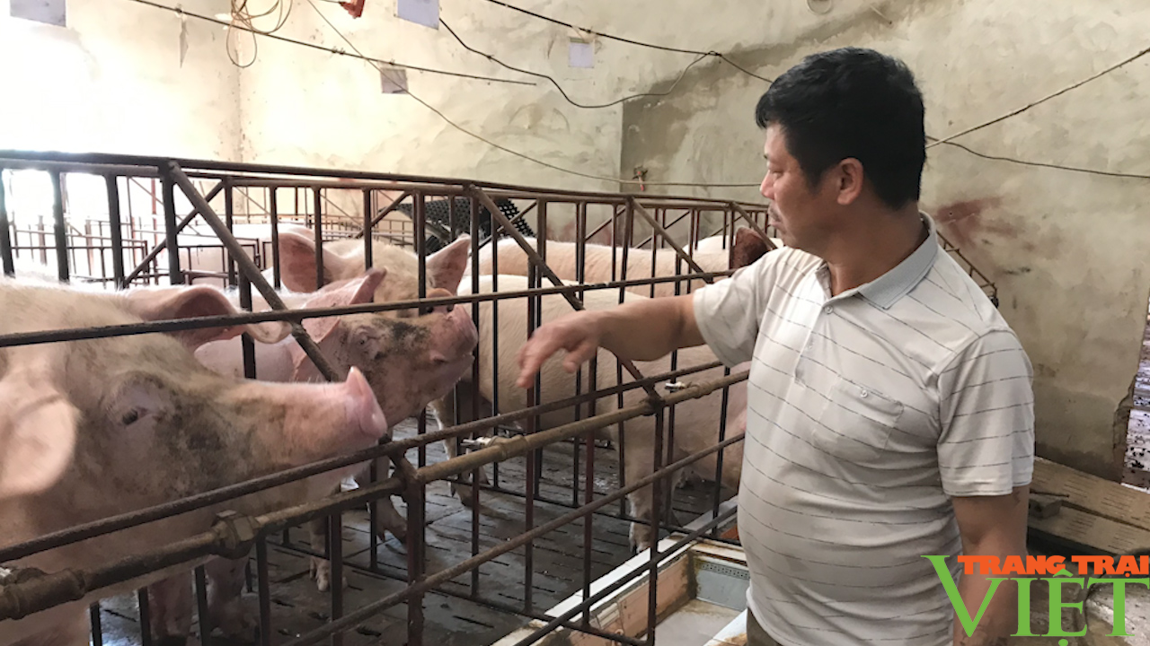 Hội Nông dân TP. Sơn La: Nhìn lại một nhiệm kỳ thắng lợi - Ảnh 4. Hội Nông dân TP. Sơn La: Nhìn lại một nhiệm kỳ thắng lợi - Ảnh 4.
