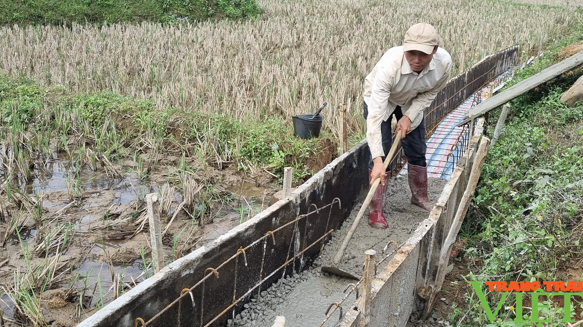 Nông dân Sơn La tích cực thi đua xây dựng nông thôn mới - Ảnh 4. Nông dân Sơn La tích cực thi đua xây dựng nông thôn mới - Ảnh 4.