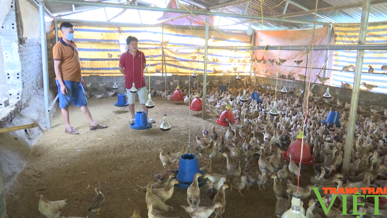 Nông dân Sơn La tích cực thi đua xây dựng nông thôn mới - Ảnh 3. Nông dân Sơn La tích cực thi đua xây dựng nông thôn mới - Ảnh 3.