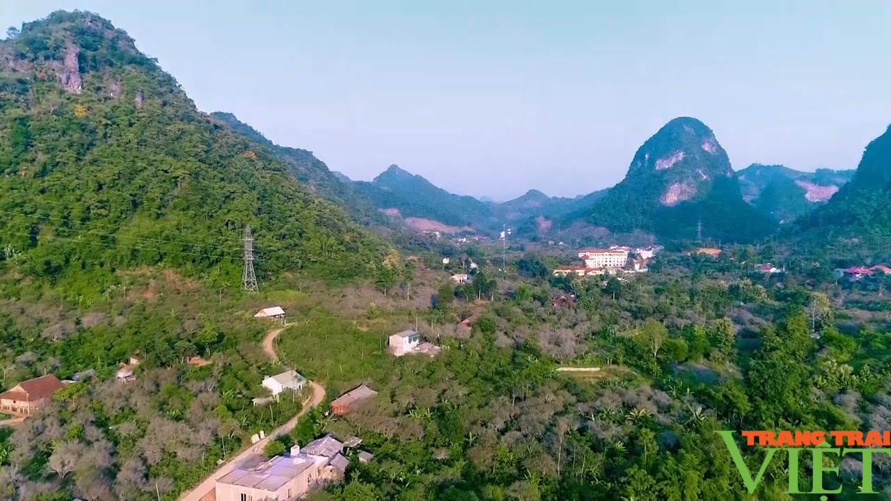 Nông dân Sơn La tích cực thi đua xây dựng nông thôn mới - Ảnh 5. Nông dân Sơn La tích cực thi đua xây dựng nông thôn mới - Ảnh 5.