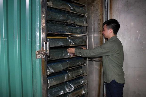 Phát triển kinh tế từ sản phẩm tỏi đen theo công nghệ Nhật Bản ở huyện Yên Châu hình ảnh 4 Phat trien kinh te tu san pham toi den theo cong nghe Nhat Ban o huyen Yen Chau hinh anh 4